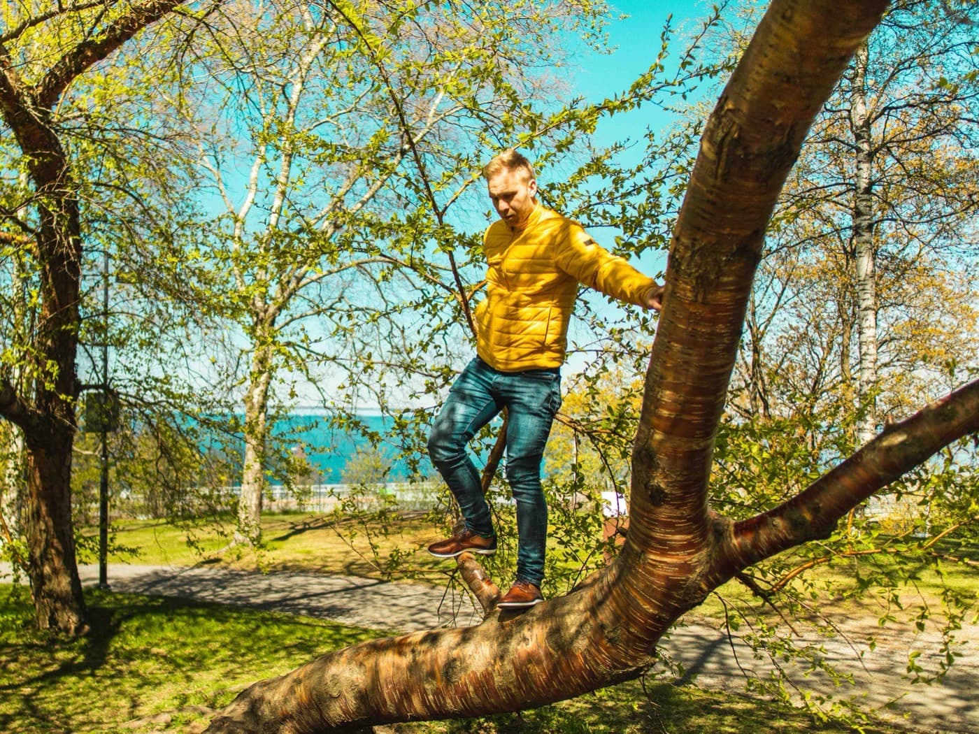 Jaakko Lahtinen tasapainoilee puunrungolla Tampereella